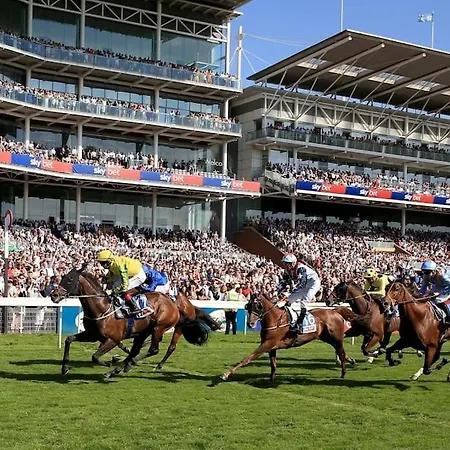 Stunning In - Free Wifi & Parking - Close To Racecourse & Centre 아파트 요크